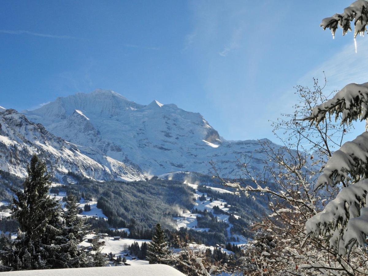 Chalet Zwaergli By Interhome Wengen Exteriör bild